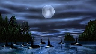 Ennio Morricone  Orca Theme [upl. by Alper]