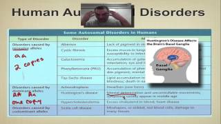 Chapter 14 Part 5  Human Autosomal Disorders [upl. by Bell]