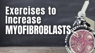 Fascia Exercises to Increase Myofibroblasts  Hyperarch Fascia Training [upl. by Lauer]