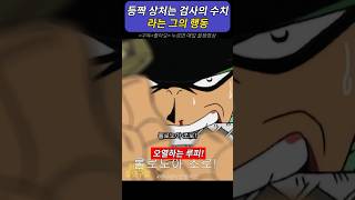 등짝 상처는 검사의 수치 라는 그의 행동 onepiece 원피스 [upl. by Repsihw824]