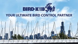 BirdX  Leading Bird Control Solutions for 60 years [upl. by Jose]