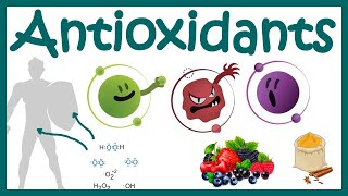 Antioxidants  What Are Antioxidants   Antioxidants Benefits  Free Radicals and ROS scavenging [upl. by Iras]