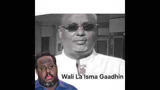 Warsama Ali Arreh  Wali La Isma Gaadhin [upl. by Joshia]