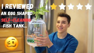 THIS AQUARIUM CLEANS ITSELF SelfCleaning Fish Tank Setup AND Review [upl. by Longfellow]