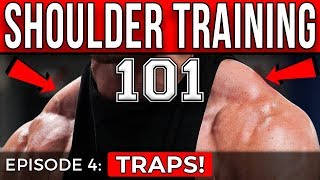 5 Shoulder Exercises for BIGGER TRAPS  Episode 4  V SHRED [upl. by Jerol249]