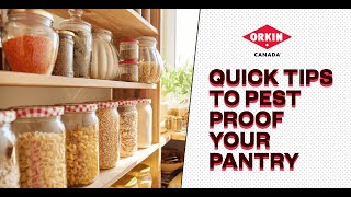 Tips To Keep Pests Out Of Your Pantry  Orkin Canada [upl. by Ahsekram]