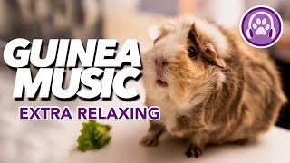 EXTRA RELAXING Music for Guinea Pigs  Soothe and Calm INSTANTLY 🎶 [upl. by Nosliw]