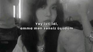 Lana Del Rey  Salvatore Azərbaycanca tərcümə• [upl. by Aline]