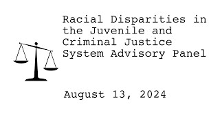 Racial Disparities Advisory Panel  August 13 2024 RDAP [upl. by Ylrehc]