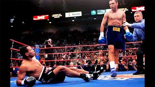 Oscar De La Hoya  Top Knockouts HD [upl. by Zina863]