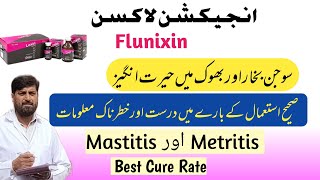 Loxin  Inj Flunixin Meglumine Ka استعمال صحیح Mastitis Metritis Aur بھوک Mein  Lameness pneumonia [upl. by Eciruam]