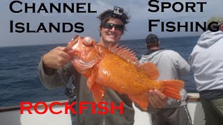 Channel Islands SportFishing Catching Rockfish [upl. by Hawkins]