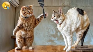 Best Cats Videos 😹🐕 Funniest Animals 2024 😂 [upl. by Leahcym]