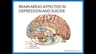 The Neurobiology of Pain Processing and Suicide A Potential Marker for Suicide Risk [upl. by Subak]