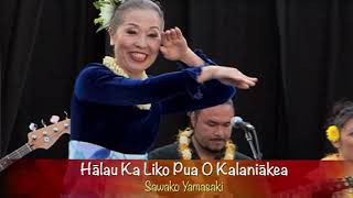 第11回フラ・ホオラウナ・アロハ2012 グループ・クプナ優勝 Halau Ka Liko Pua O Kalaniākea [upl. by Eelegna]