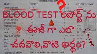 బ్లడ్ టెస్ట్ రిపోర్ట్ ఈజీగా అర్దమయ్యేట్టు II blood test report complete explanation in telugu [upl. by Roselle]