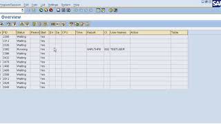 SM50 work process in sap [upl. by Hpesoj664]