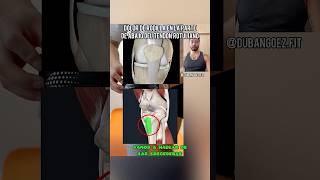 ¿Tienes dolorderodilla en la parte de abajo del tendón rotuliano tendinitis osgoodschlater [upl. by Yanaj631]