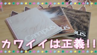 【手帳時間】可愛すぎる！キャンパスノート購入しちゃいました 開封 試し書き [upl. by Watkin]