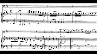 Stamitz  Viola Concerto 1st Mov M 126 piano accompaniment [upl. by Jordanna225]