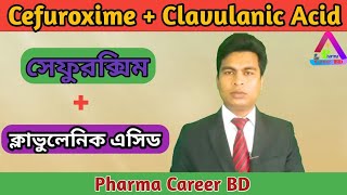 Cefuroxime  Clavulanic Acid Bangla  Cefaclav  Furoclav  Clavucef  Clavulanic Acid Bangla [upl. by Sliwa]