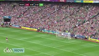 All Ireland Hurling Final 2018 Highlights Galway vs Limerick [upl. by Pacorro]