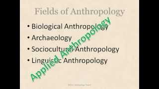 What is Anthropology [upl. by Gnauq]