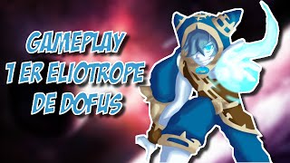 DOFUS ELIOTROPE 200  1ER COMBAT [upl. by Burlie]