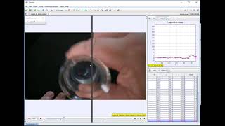 Reaction Rates using Tracker [upl. by Tnelc]