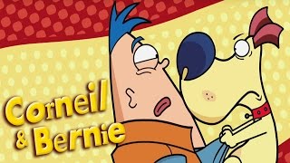 Corneil amp Bernie  Pas de Chocolats et Le Dogsitters  Dessin animé pour enfants [upl. by Benedix629]