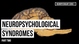 Introduction to Neuropsychological Syndromes Part Two [upl. by Kohn]