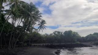 Punaluu Black Sand Beach  Hawaii [upl. by Namor]