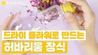 DIY 보고 있으면 힐링 갑 존예 허바리움 만들기  씨채널 코리아 [upl. by English459]