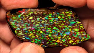 What You DONT Know About Wood Opal Opalized Wood [upl. by Ttereve]