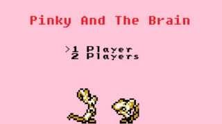 Pinky And The Brain 8bit Remix [upl. by Ecnerat]