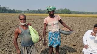 अपने प्रेमी स्टाफ के साथ खाद छिडवाते हुए दिनेश कुशवाहा विसरिया भरगामा अररिया बिहार [upl. by Utter]