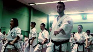 【新極真会】Shihan Kenji Midori Seminar [upl. by Adore]