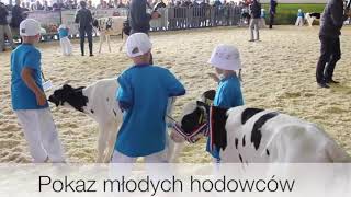 III Krajowa Wystawa Bydła Mięsnego w Minikowie 2018 [upl. by Nivonod]