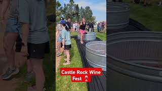 Castle Rock Wine Fest Volunteering with the Chamber castlerockcolorado castlerockchamber July 2024 [upl. by Curnin140]