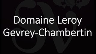 Best GevreyChambertin Wines Famous Wineries amp Producers [upl. by Evangeline]