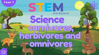 Carnivores Herbivores and Omnivores  KS1 Year 1 Science  Home Learning [upl. by Raine763]