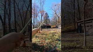 TURN THE VOLUME UP cantstoptheflop treeremoval [upl. by Eetsud]