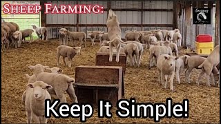 Sheep Farming How To Be More Profitable With Sheep  Keep It Simple [upl. by Ilrebmyk]