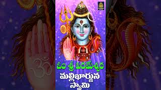 ఓంకార రూప సాంబ శివ  Srisaila Shivaya Songs  Monday Special  Mallanna Songs  Sri Durga Audio [upl. by Annamaria230]