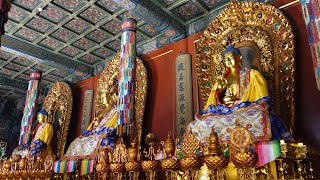 Fascinating Buddhist temples in China [upl. by Nwadahs]