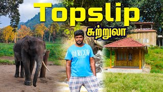 Topslip Tourism I wildlife tourism I டாப்சிலிப் சுற்றுலா I Village Database [upl. by Coffeng]