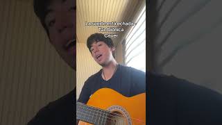 La suerte está echada  Tan biónica  Cover cover guitarra guitar musica music chile [upl. by Efal]