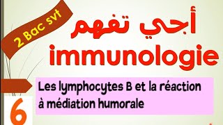 immunologie 2 bac svt ep 6  les lymphocytes B et la réaction à médiation humorale LB [upl. by Mott]