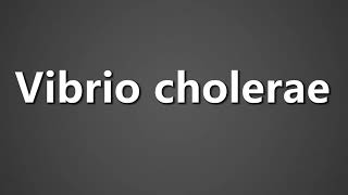 How To Pronounce Vibrio cholerae [upl. by Rosemary]