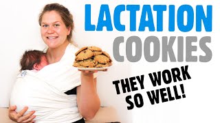 Lactation Cookies Recipe Oatmeal Chocolate Chip [upl. by Eniluj673]